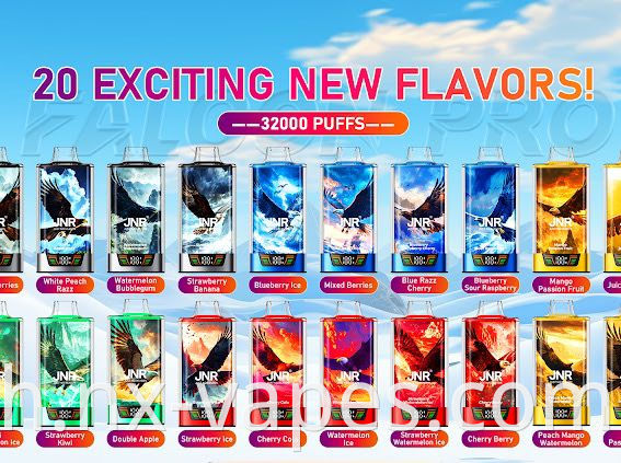 JNR Falcon Pro 28000 (2) JNR Falcon Pro 28000 (2)